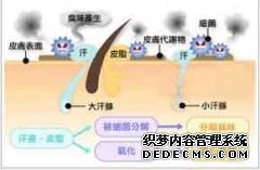 大连青岛患者咨询散发异味的狐臭会不会传染