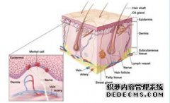 大连狐臭一定是发生在大汗腺密集处吗